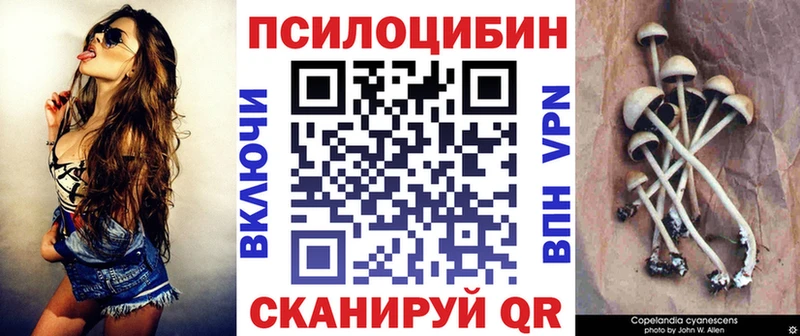 hydra зеркало  Шимановск  Галлюциногенные грибы Psilocybine cubensis 